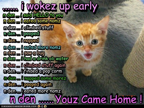 http://littlegreenfootballs.com/weblog/img/wrenchwench/2012/03/14/funny-cat-pictures-n-den.jpg