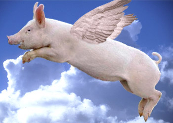 pork-on-the-wing.jpg